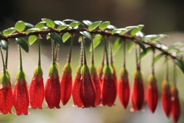 佛山南海区4私人快速借钱网，轻松解决资金难题