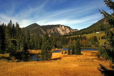 佛山南海区4民间私贷攻略：揭秘低成本借贷的秘密