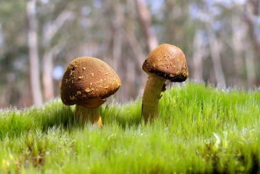 佛山南海区4私人老板放款：轻松融资的秘密通道